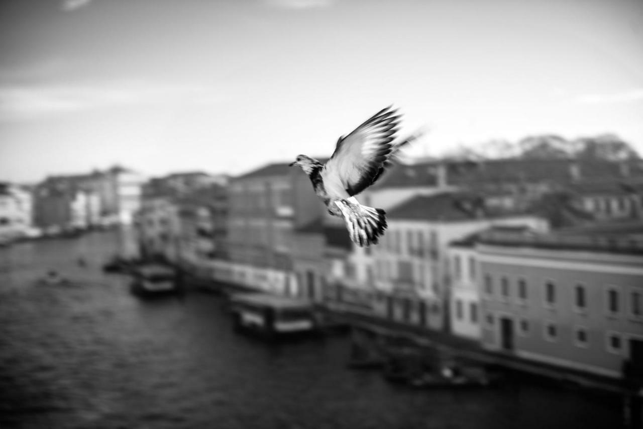 Ca' Bonfadini Historic Experience Venecia